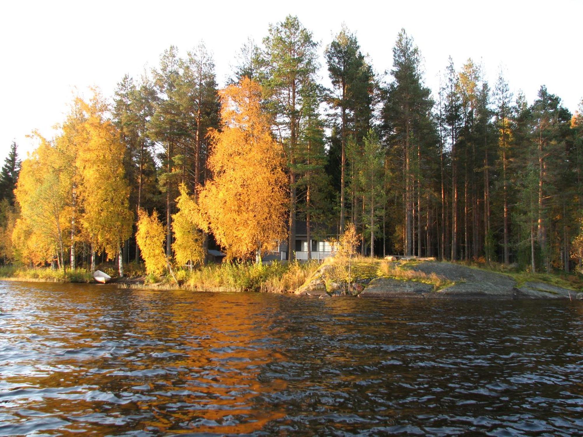 Lomamokkila Cottages Savonlinna Værelse billede